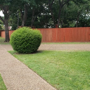 Bush Trimming by H. J. CornerStone reviewed on August 16, 2025