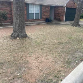 Leaf Removal by Well-cut Lawn Service reviewed on January 2, 2026