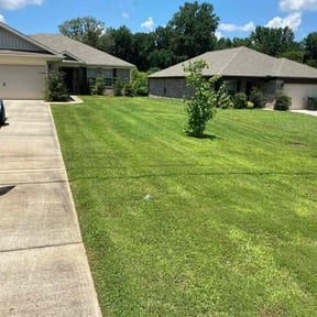 yard maintenance by Master of landscape reviewed on August 19, 2025
