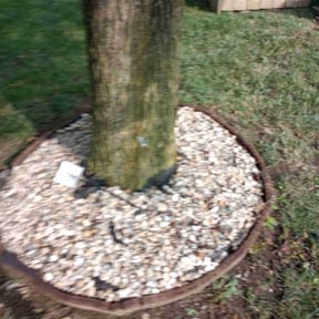 Flower Bed Weeding by James Quality Lawn Care reviewed on August 14, 2025
