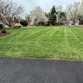 grass maintenance by Eco Landscape & Design reviewed on May 2, 2025