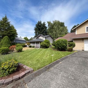 yard maintenance by Evergreen Lawn Services reviewed on November 18, 2025