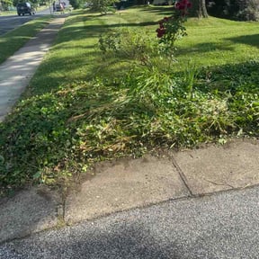 Flower Bed Weeding by Patman The Handyman LLC reviewed on June 15, 2026