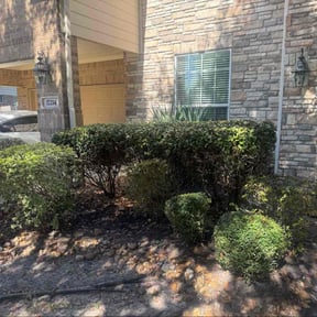 Bush Trimming by Great American Lawn’s reviewed on July 16, 2023