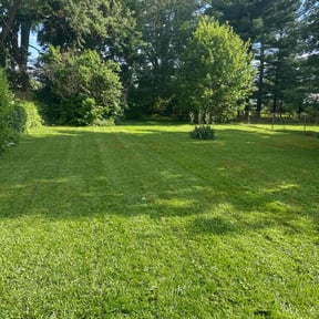residential landscaping by Lesli's lawn care and snow removal llc reviewed on August 20, 2025