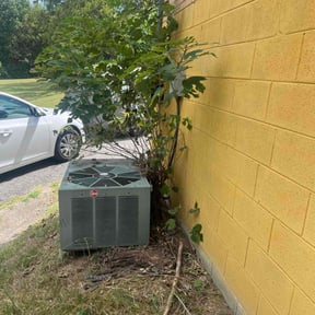 Bush Trimming by Allen Investments reviewed on August 15, 2025