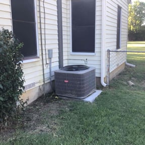Bush Trimming by Express lawn services reviewed on August 21, 2025