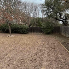 Leaf Removal by  reviewed on January 14, 2026