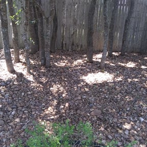 Flower Bed Weeding by Jim's Lawn Service reviewed on August 13, 2025