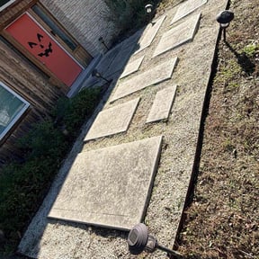 Flower Bed Weeding by CACTUS PRIME VENTURES LTD reviewed on November 23, 2025