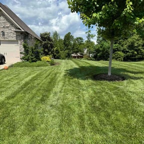 landscaping services by Yeti Yards reviewed on August 15, 2025