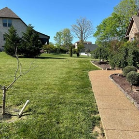 landscaping services by MowBros reviewed on May 26, 2025