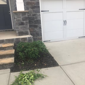 Bush Trimming by E.B. Lawncare LLC reviewed on August 15, 2025