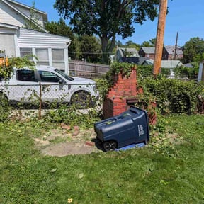 Bush Trimming by Absolutely Affordable Home Renovations reviewed on August 29, 2026