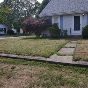 Bush Trimming by Blue Dyamond Land Services LLC reviewed on August 15, 2025