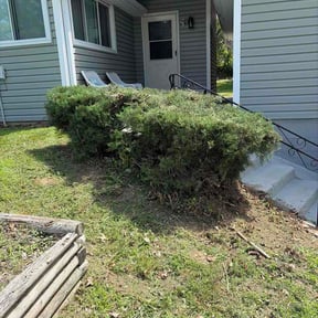 Bush Trimming by Diamond Turf, LLC reviewed on June 7, 2026