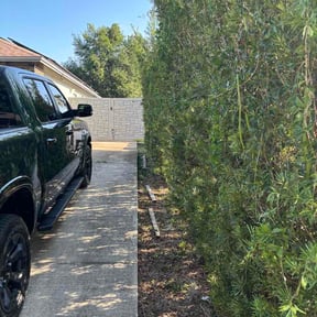 Bush Trimming by AR LAWN CARE SOLUTIONS LLC reviewed on July 9, 2026