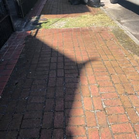 Bush Trimming by Sifu Lawn and Services  reviewed on August 21, 2025