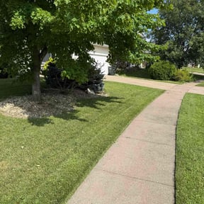 yard maintenance by Squared Away Lawn Care reviewed on October 20, 2025