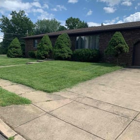 Bush Trimming by Knox Vegas Lawn Service reviewed on August 18, 2025