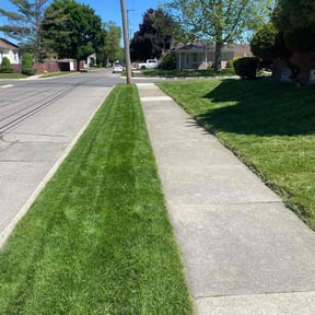 yard service by Doublerlawncare reviewed on August 18, 2025