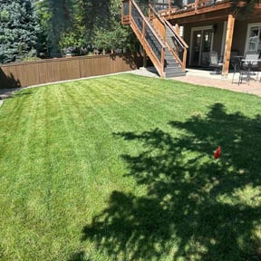 yard work by No Mow Problems reviewed on December 9, 2025