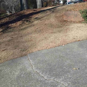 Leaf Removal by real lawn service reviewed on September 25, 2025