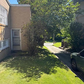 Bush Trimming by YB Cool Cutz reviewed on December 15, 2025