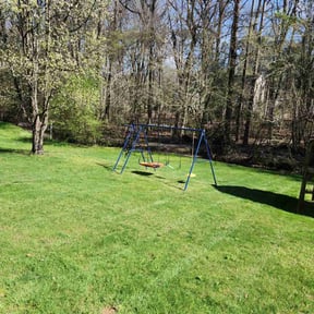 yard work by Mr. T Lawn and Detailing Services reviewed on August 18, 2025