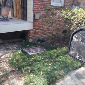 Flower Bed Weeding by Lawn Panda reviewed on November 10, 2025