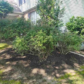 Flower Bed Weeding by Jose Landscaping. reviewed on October 19, 2025