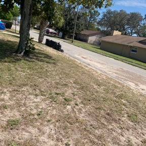 Leaf Removal by Dirt Road Enterprises LLC reviewed on September 17, 2025