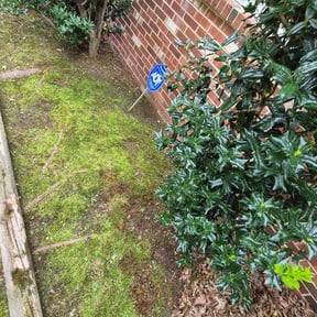 Flower Bed Weeding by 365 All Seasons Maintenance reviewed on August 27, 2026