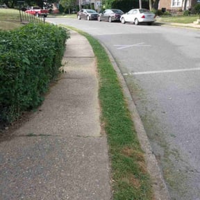 Bush Trimming by Yard Dr. LLC reviewed on August 16, 2025