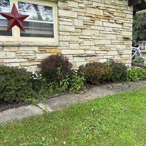 Bush Trimming by 3DM reviewed on October 22, 2025