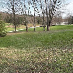 Leaf Removal by Haywood Property Solutions reviewed on August 6, 2026