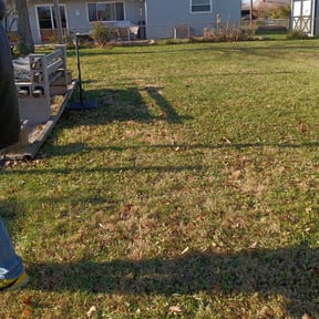Leaf Removal by DigonThis Lawn Care reviewed on August 15, 2025
