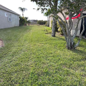 lawn service by We Do Grass Lawncare reviewed on April 19, 2024