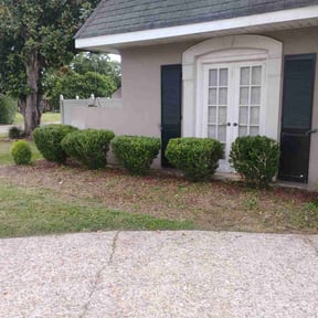 Bush Trimming by DC Lawncare & Design, LLC reviewed on August 14, 2025