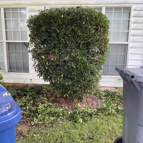 lawn care services by Terra Dura Landscapes LLC reviewed on November 9, 2017