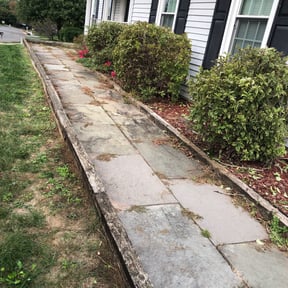 Bush Trimming by KevnLori Professional Lawn Care LLC reviewed on August 16, 2025