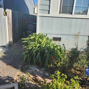 Bush Trimming by Green Day Lawn Service reviewed on August 21, 2025