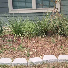 Flower Bed Weeding by O &amp; D Lawn Care reviewed on November 10, 2025