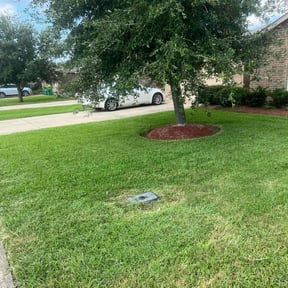 residential landscaping by Staples Lawn Care Services reviewed on December 2, 2025