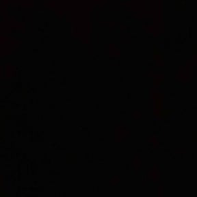 Bush Trimming by Humble LawnCare reviewed on December 24, 2025