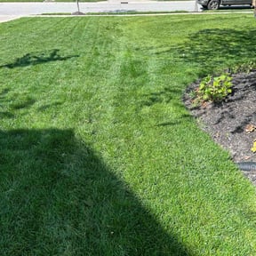 yard work by Pace Lawn and Garden reviewed on August 21, 2025