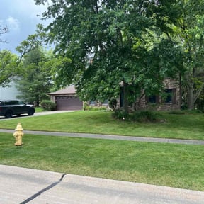 landscaping services by Bright Landscaping Services reviewed on August 19, 2025
