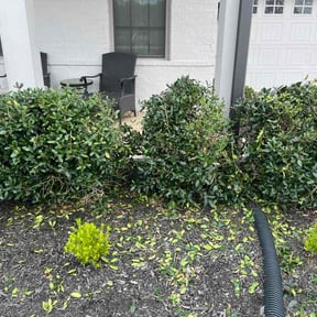Bush Trimming by Elrod lawn service reviewed on April 30, 2026