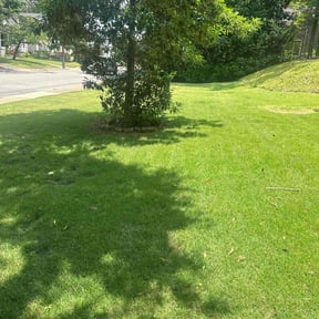 turf care by George Islas reviewed on November 8, 2023