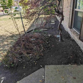 Leaf Removal by Tim Kirkpatrick reviewed on September 17, 2025